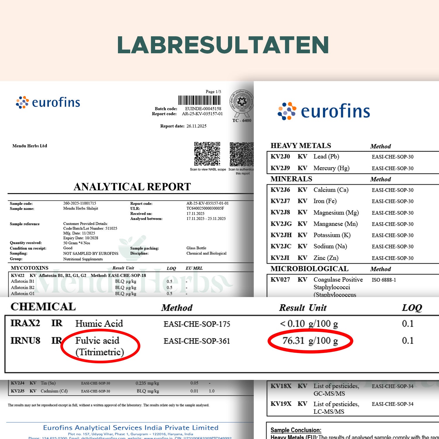 Mendu Herbs 100% Pure Shilajit Resin | 50 Gram